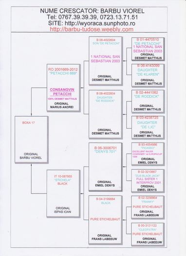 BOXA 17 - PEDIGREE PUI 2014