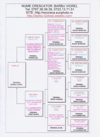 BOXA 20 - PEDIGREE PUI 2014