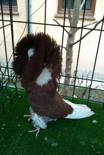 1782021_248366685339753_1685961280_n