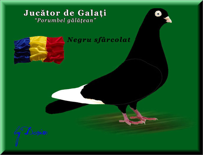 jucator de galati_plansa color8