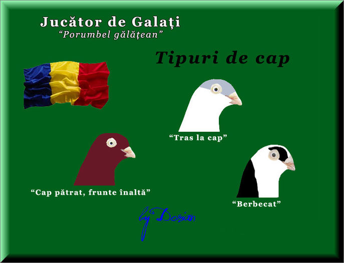 jucator de galati_plansa color9 - Ilustratii color