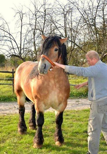 1531802_749718821724140_2055753241_n