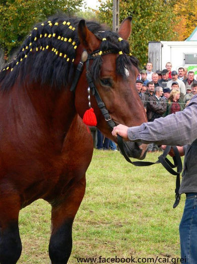 6275_612244565471567_635061091_n