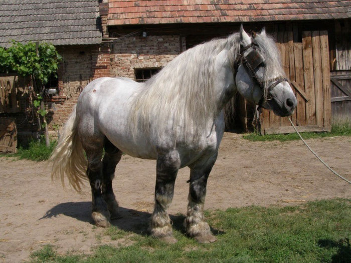 9076_624574340905256_1549012046_n