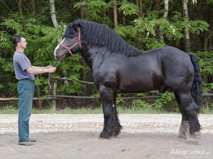 61542_596994556996568_983135398_n