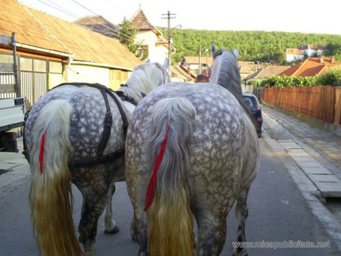 486635_582826125080078_1754730365_n