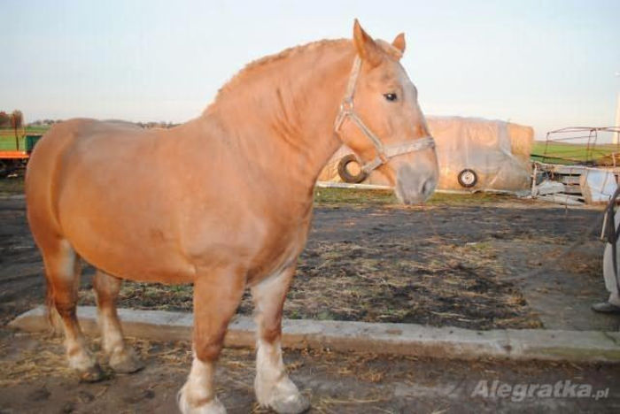 559710_578134582215899_908009937_n