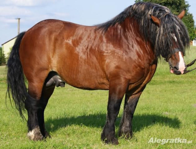 935700_640417852639692_5254932_n