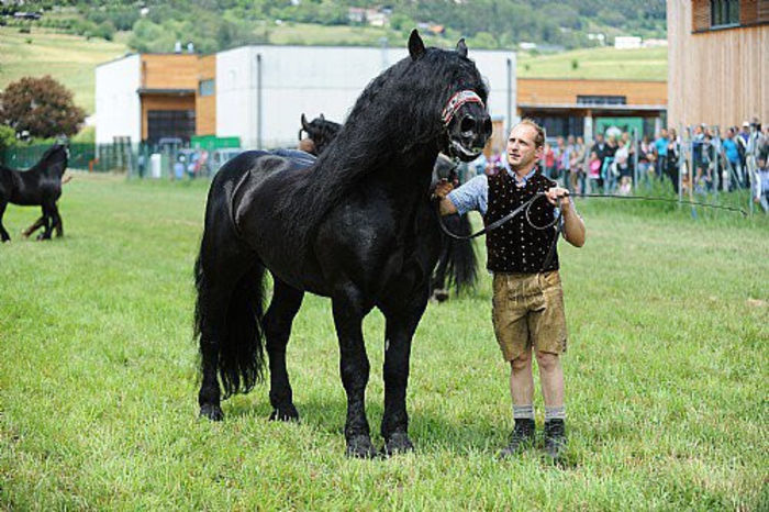 946827_613234985372525_361489427_n