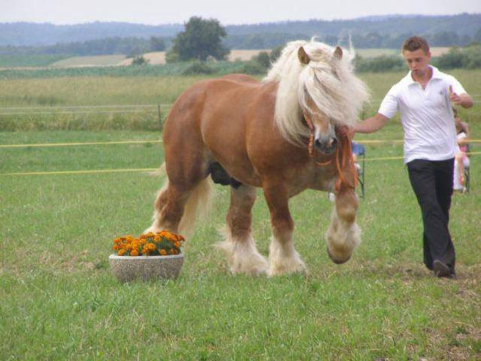 972367_622120447817312_403563929_n