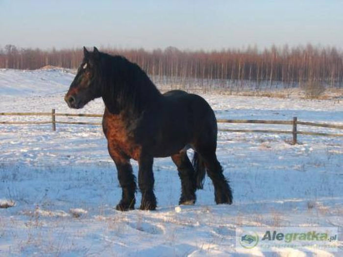 1091551_655001461195877_1143930954_n