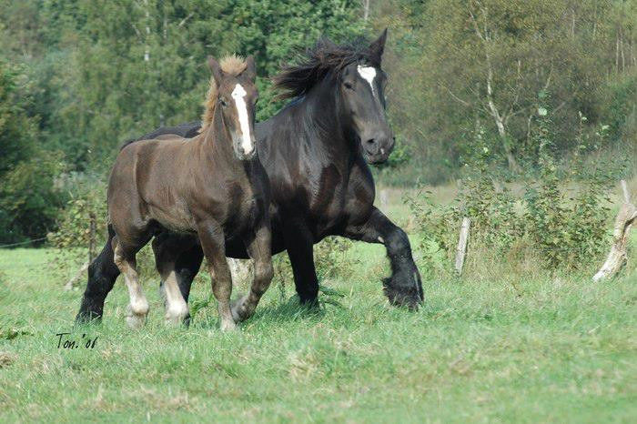 1098340_655001494529207_426236505_n