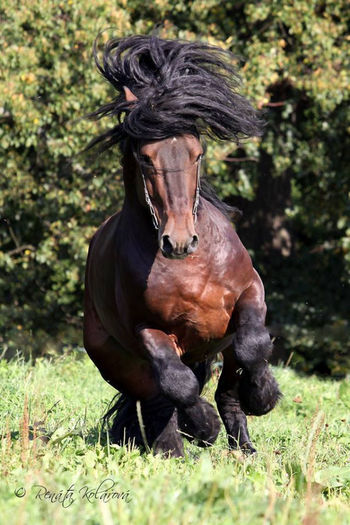 1238949_10151829113561648_167960322_n