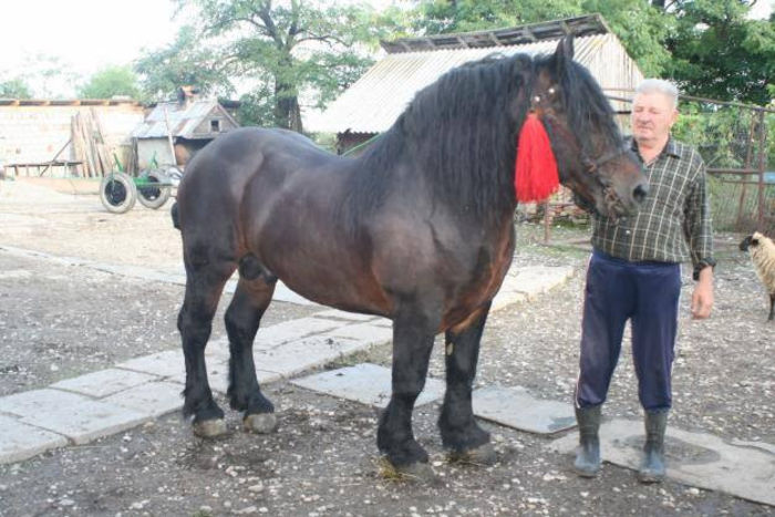 1486923_727346850628004_1621012992_n