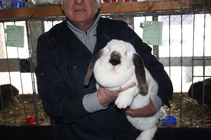 ma mandresc de realizarea mea ;