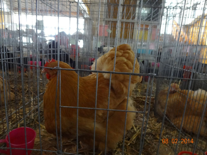 DSC05550