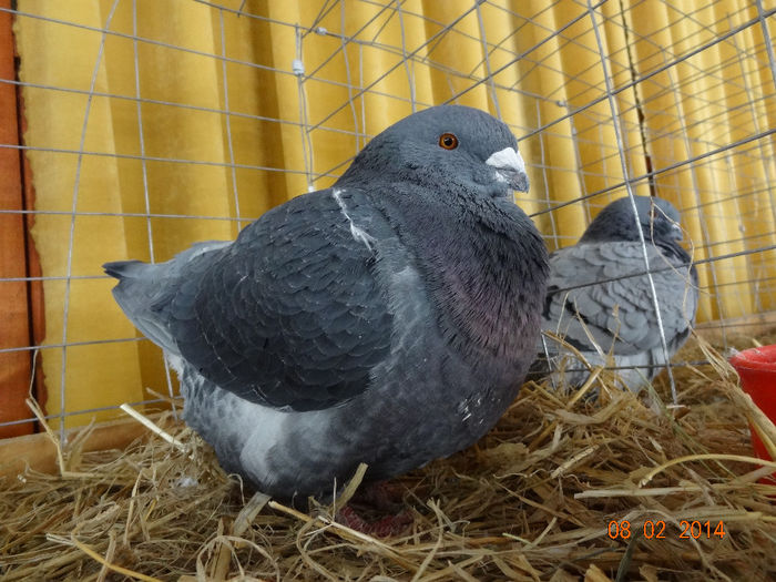 DSC05554