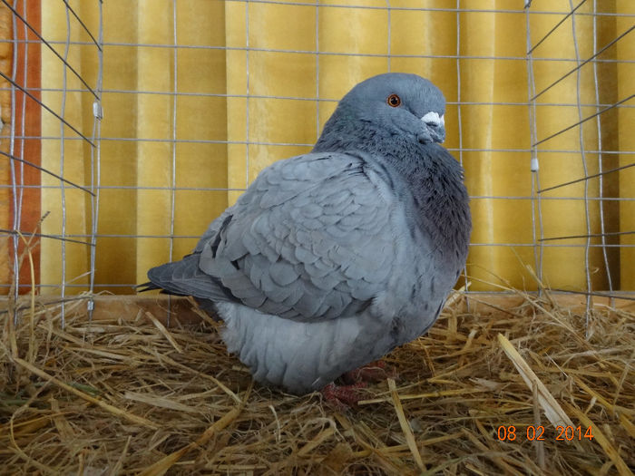 DSC05555