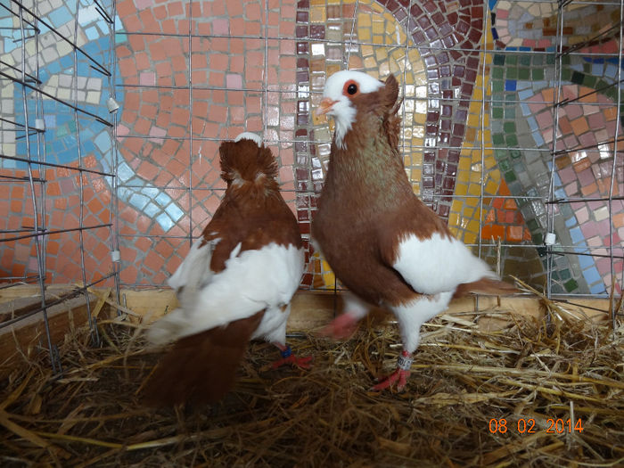 DSC05566