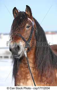 can-stock-photo_csp17112034 - Alta pasiune CAIII