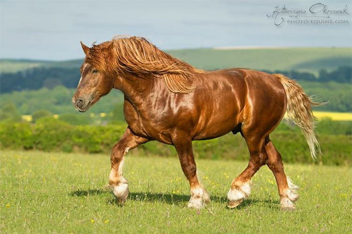 dff01760358b0cb9fdee4d3b23d293c3