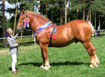 MillenniumatNorfolk2004 - Alta pasiune CAIII