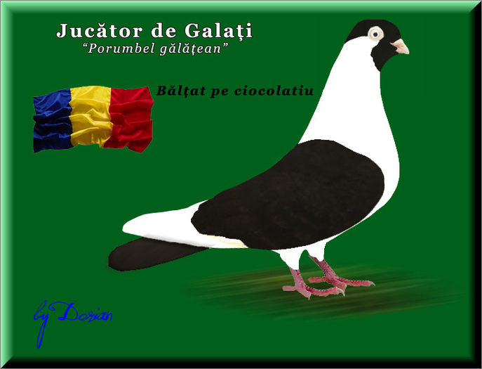 jucator de galati_plansa color10