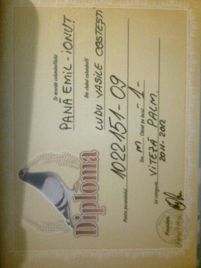 Locul 1 palm.viteza maturi 2012