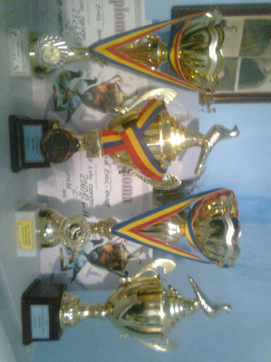Cupele mele; locul 2 demi-fond maturi 2011
locul 1 palm.viteza maruri 2012
locul 2 viteza maturi 2013
locul 2 as maraton maturi2013
locul 3 laureat maturi 2013
locul 2 viteza crescatori pui 2011
