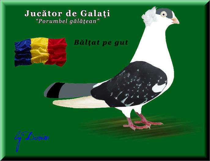 jucator de galati_plansa color11 - Ilustratii color