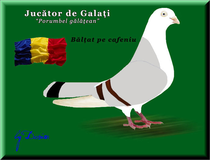 jucator de galati_plansa color12 - Ilustratii color