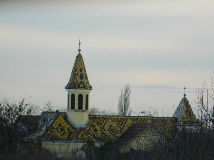 DSCN1982