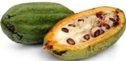 Arborele de cacao-fruct; (Theobroma cacao)
Specia Trinitero,hibrid genetic produce 10% din cacao
