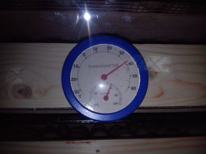 temperatura 38*C........umiditate 60 % - 3- Proiect nou incubator