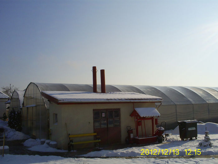 S5032013; Sera / Solarul unde lucrez!
