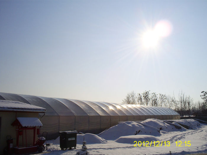 S5032014; Sera / Solarul unde lucrez!
