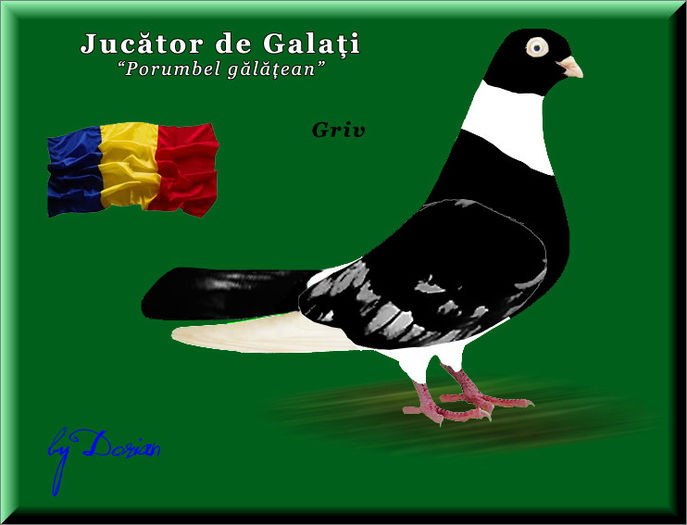 jucator de galati_plansa color13