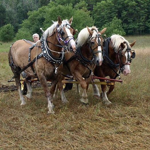 cfa544707e718eaf6c57e2c5d3a08cbd