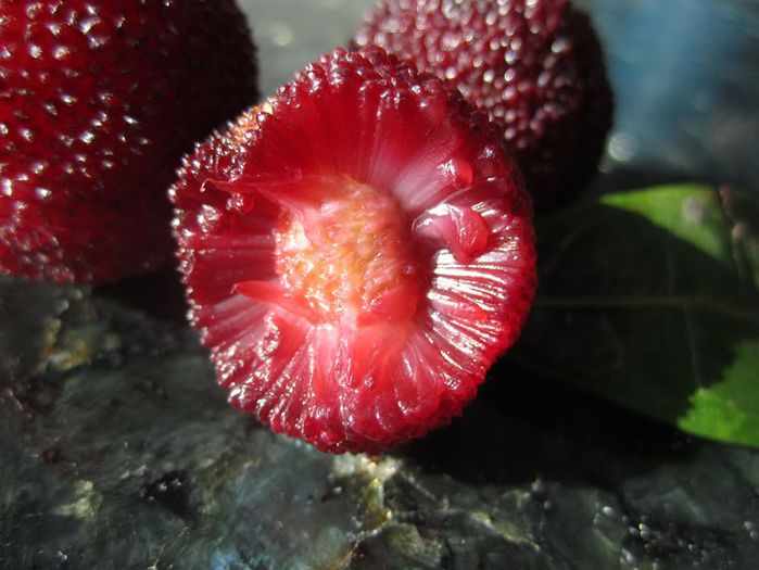 Yangmei(Yumberry ); (Myrica Rubra)
