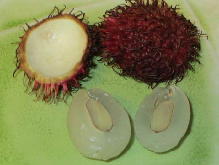 Rambutan-seminta sectionata; (Nephelium lappaceum)
