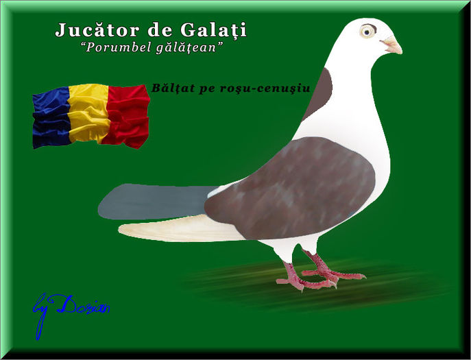 jucator de galati_plansa color14 - Ilustratii color