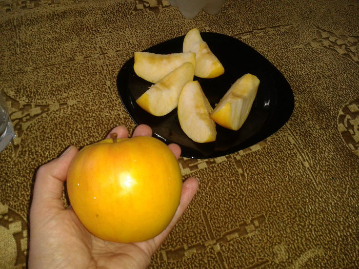 mar tinut in pivnita