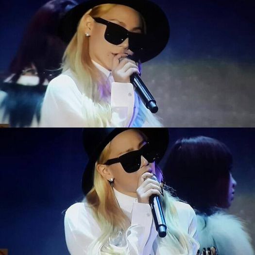 2ne1 cl concert - 2NE1 11