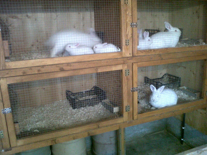 IMG00199-20140212-1659