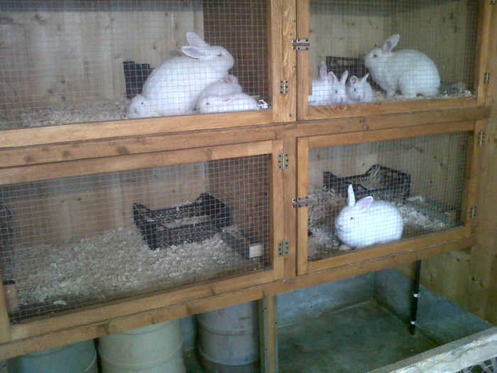 IMG00200-20140212-1659