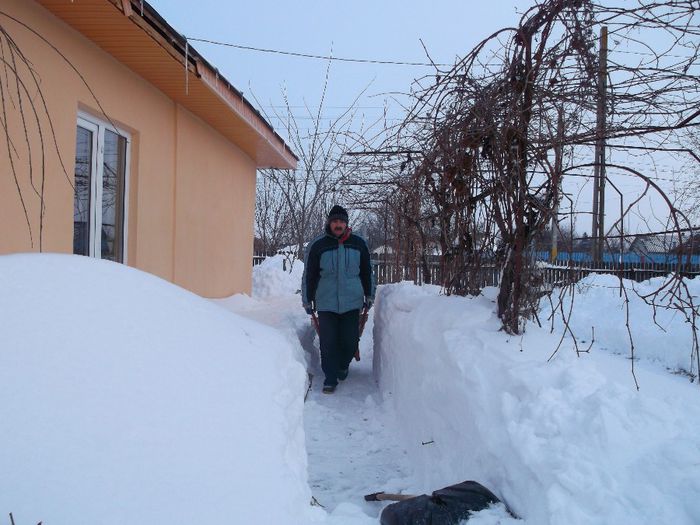 002 - Iarna pe ulita Feb-Dec  2014