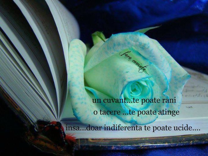 7465_579065725471626_492237271_n