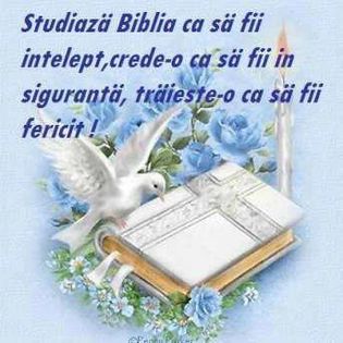 69580_338059922971154_581098296_n