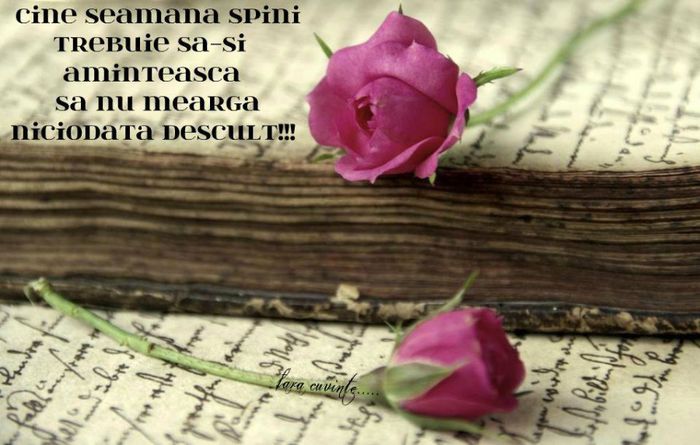 189866_581582338553298_1386603143_n