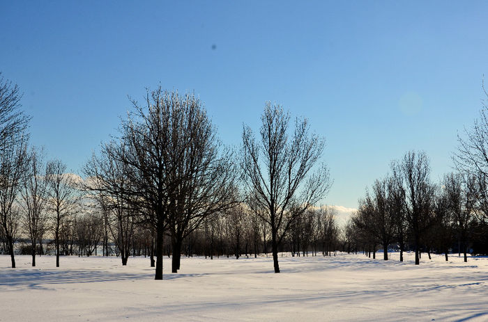 O plimbare in parcul "Bellerive" din Mintreal - CANADA